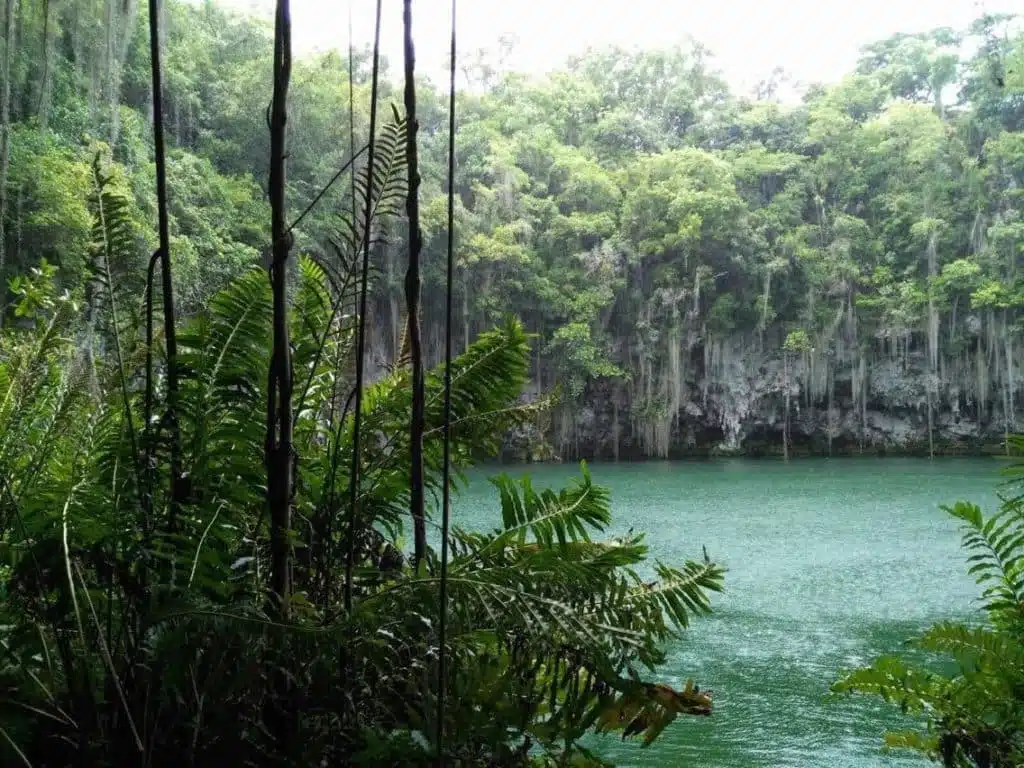 Cultural a Santo Domingo miniatura 8