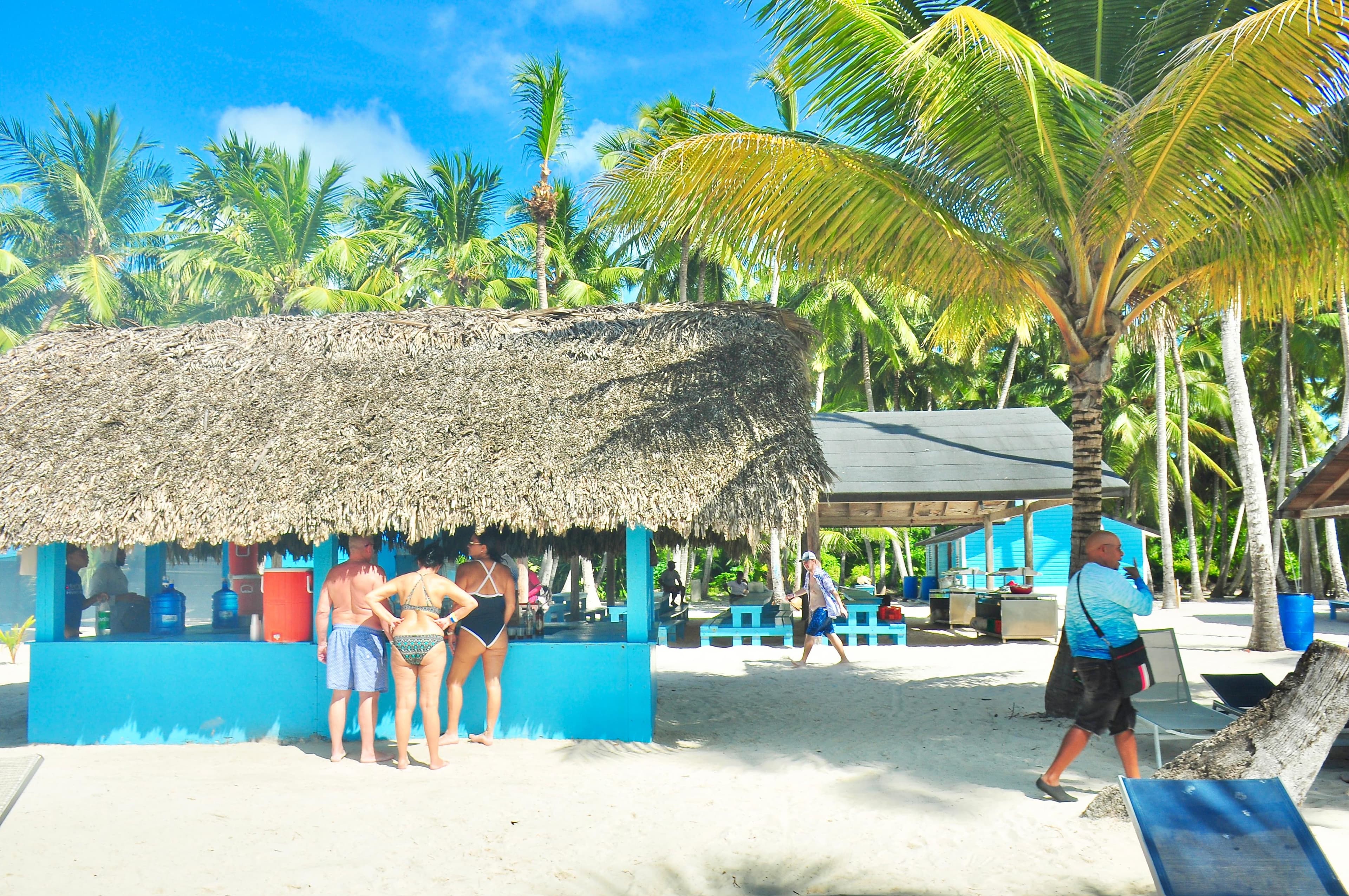 Isla Saona desde Punta Cana miniatura 6