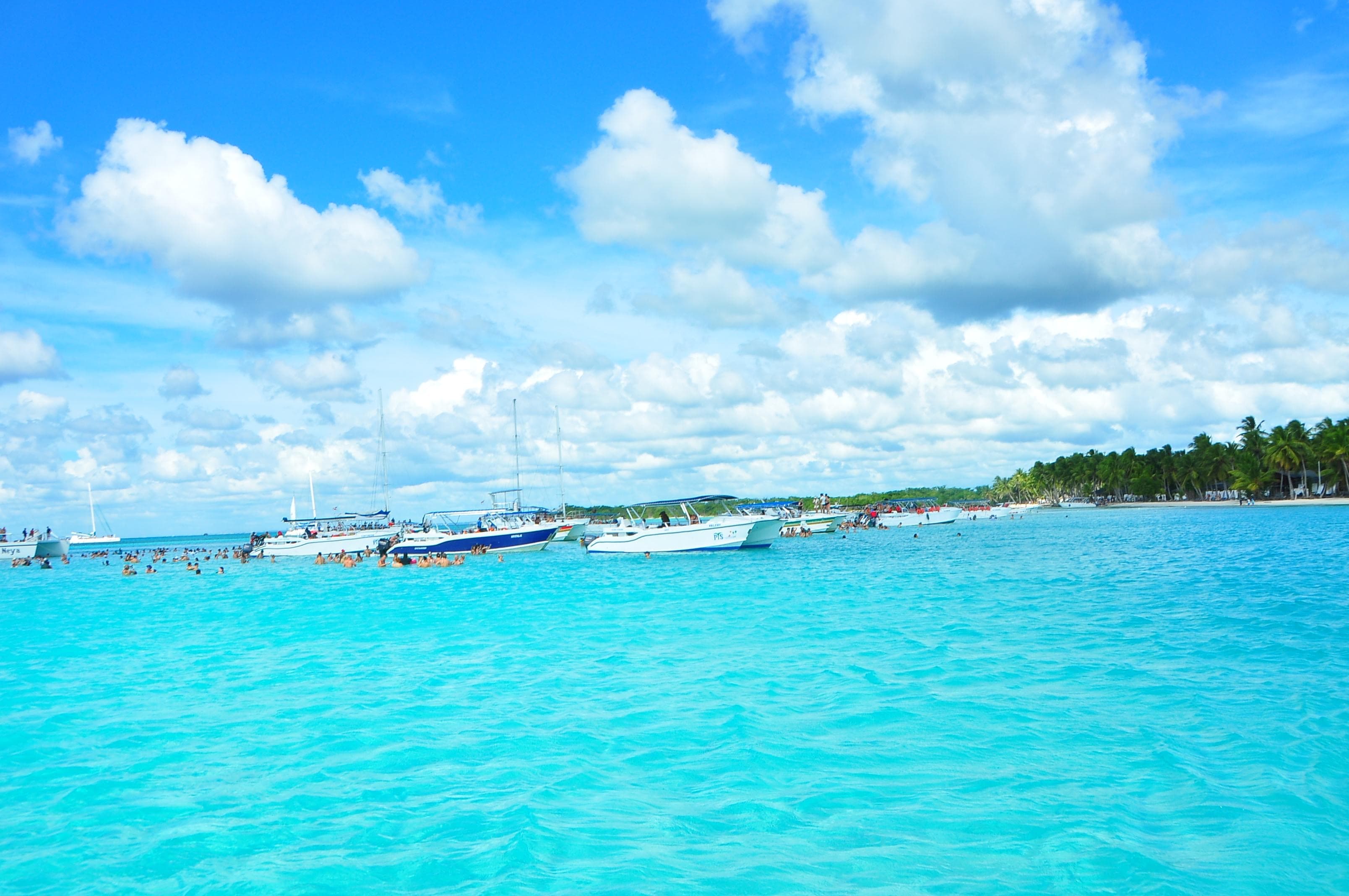 Isla Saona desde Punta Cana miniatura 9