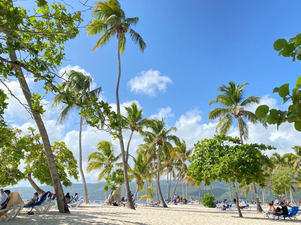 Excursión Samaná + Ballenas miniatura 3