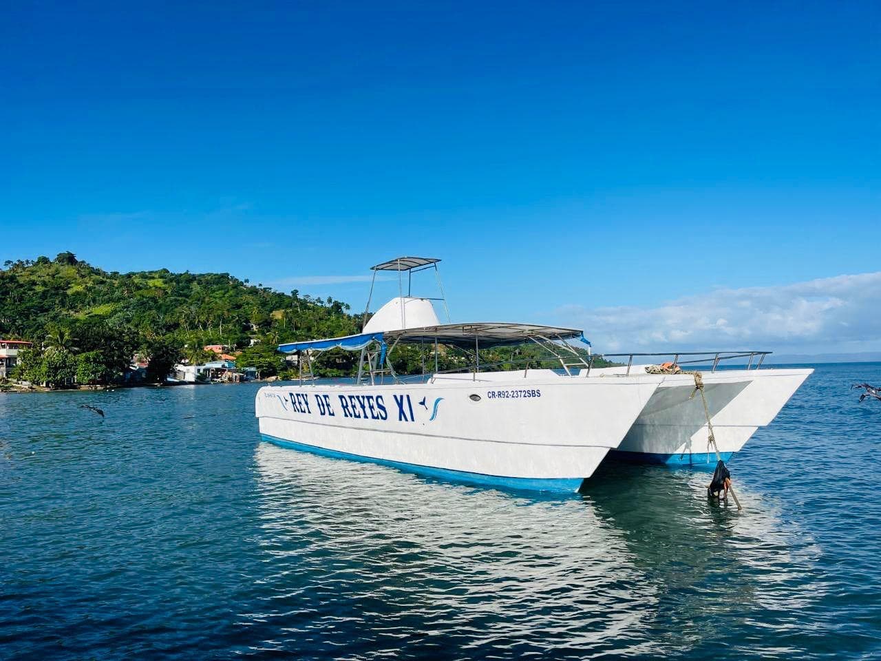 Excursión Samaná + Ballenas miniatura 5