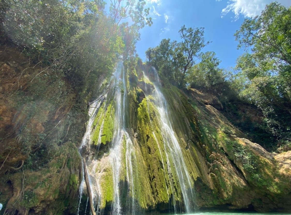 Excursión Samaná + Ballenas miniatura 6