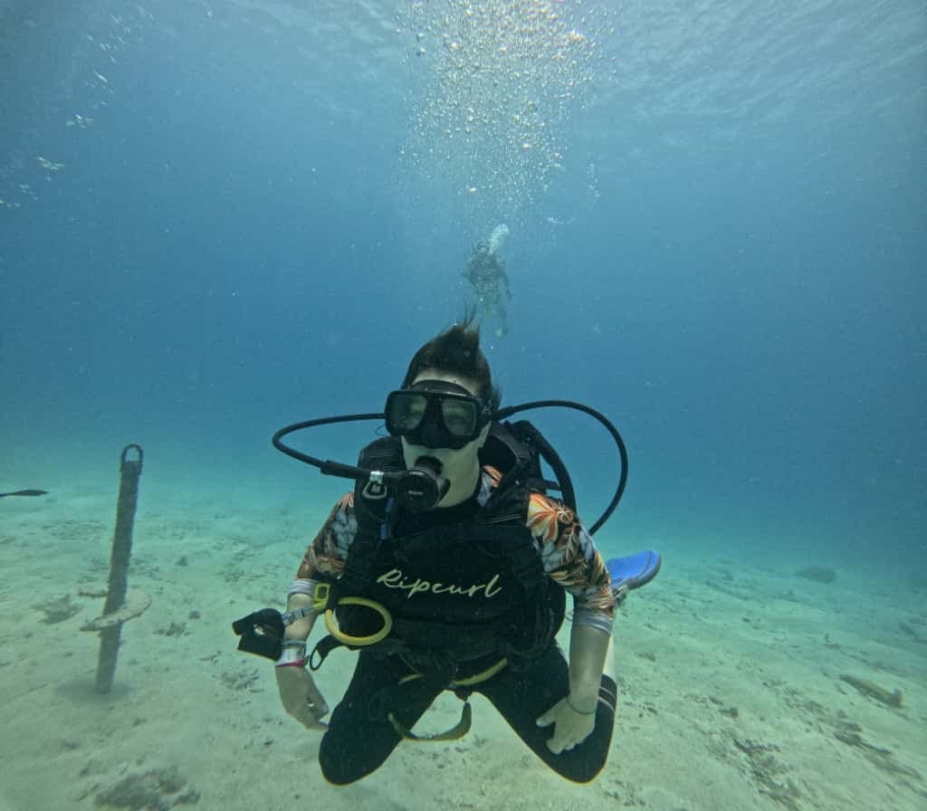 Excursión Isla Catalina miniatura 2