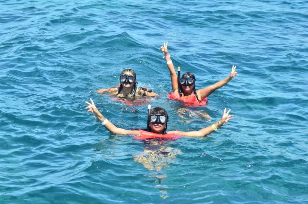 Excursión Isla Catalina miniatura 4