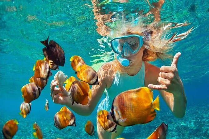 Excursión Isla Catalina miniatura 6